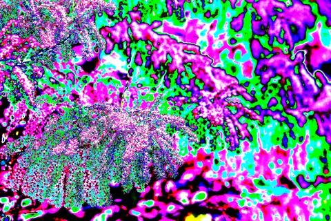 Abstract background with the image of a palm tree in red and green. Abstract  Stock Photos