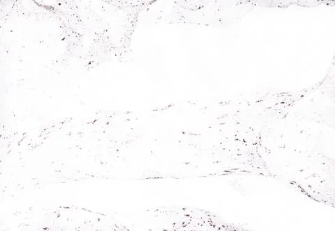 Abstract background. Ink marbling texture. Grey and white. Hand drawn marble Stock-Illustration