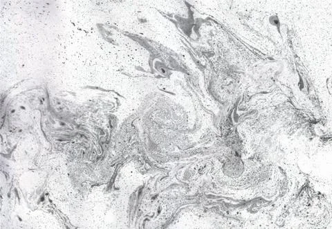 Abstract background. Ink marbling texture. Grey and white. Hand drawn marble Stock Illustration