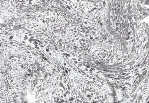 Abstract background. Ink marbling texture. Grey and white. Hand drawn marble Stock-Illustration