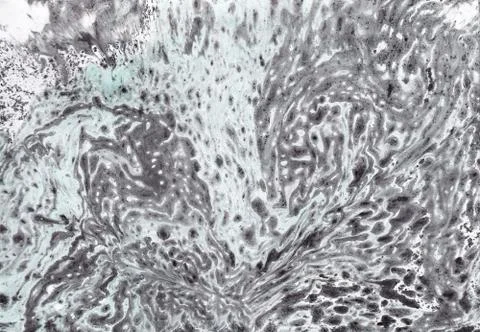 Abstract background. Ink marbling texture. Grey and white. Hand drawn marble Stock Illustration