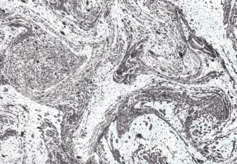 Abstract background. Ink marbling texture. Grey and white. Hand drawn marble Stock-Illustration
