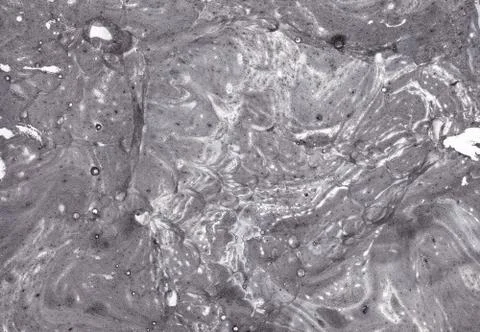 Abstract background. Ink marbling texture. Grey and white. Hand drawn marble Stock Illustration