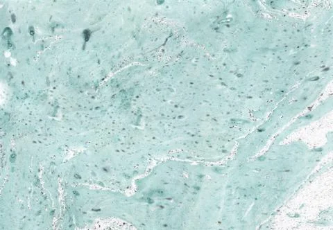 Abstract background. Ink marbling texture. Grey and white. Hand drawn marble Stock Illustration