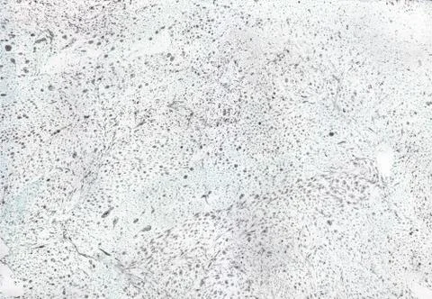Abstract background. Ink marbling texture. Grey and white. Hand drawn marble Stock Illustration