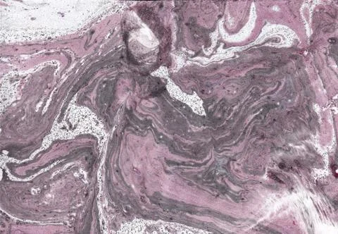 Abstract background. Ink marbling texture. Grey and white. Hand drawn marble Stock Illustration
