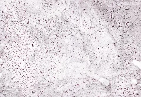 Abstract background. Ink marbling texture. Grey and white. Hand drawn marble Stock Illustration