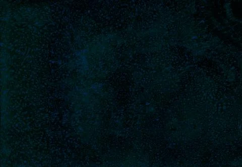 Abstract background. Ink marbling texture. Grey and white. Hand drawn marble Stock Illustration