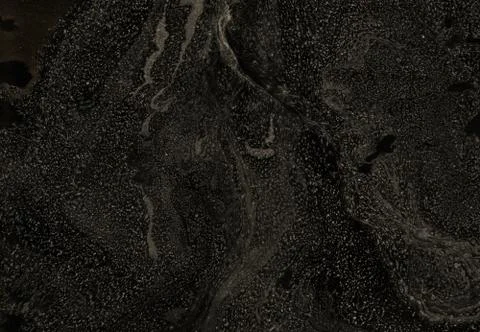 Abstract background. Ink marbling texture. Grey and white. Hand drawn marble Stock Illustration