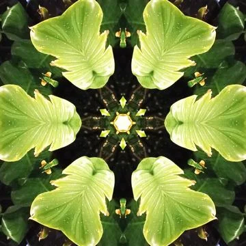 Abstract background, kaleidoscopically forms, for desktop, Wallpaper for vj Stock Illustration