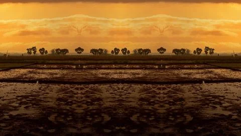 Abstract background, kaleidoscopically forms, for desktop, Wallpaper for vj Stock-Illustration