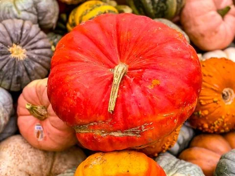 Abstract background with a large red pumpkin Foto stock