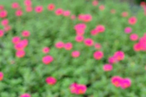 Abstract background from len defocus Stock Photos