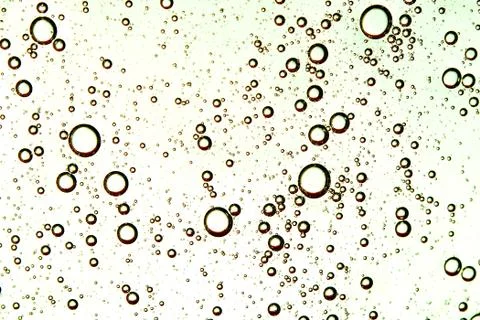 Abstract background of light green bubbles closeup Stock Photos
