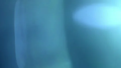 Abstract background with light leakage of anamorphic lens, cyan colors Stock Footage 248163867