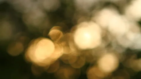 Abstract background of light spots bokeh Stock Footage 49941314