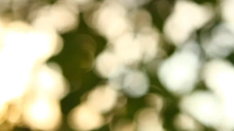 Abstract background of light spots bokeh Stock Footage 49941336