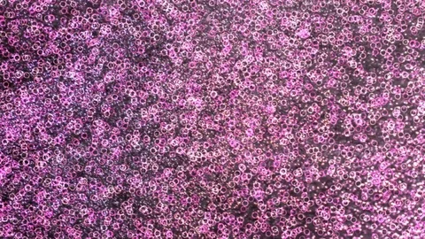 Abstract background. Lights bokeh. Stock Footage 80451981
