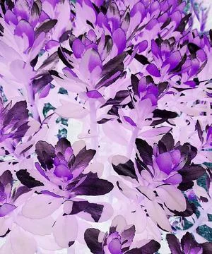 Abstract background with lilac flowers. Stock Illustration