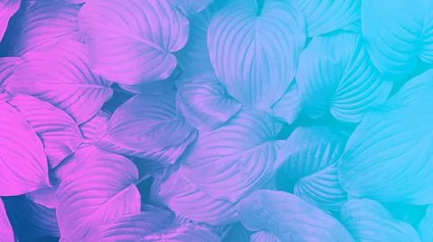 Abstract background made with neon colored leaves. Stock Photos