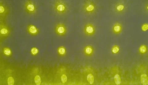 Abstract background made of olive-colored paper with holes arranged in a row and Stock Photos
