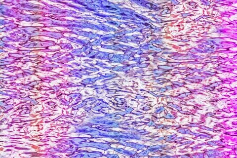 Abstract background made of reflections in the water. Stock Illustration