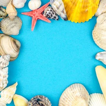 Abstract background made of shells blue background Stock Photos
