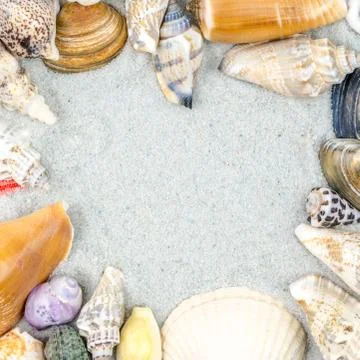 Abstract background made of shells on sand Stock Photos