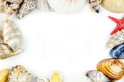 Abstract background made of shells white background Stock Photos