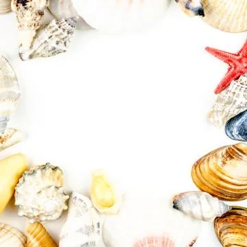 Abstract background made of shells white background Stock Photos