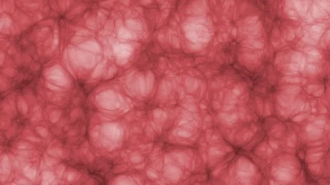 Abstract background,a magnified intestinal interior. Stock Footage 241550723