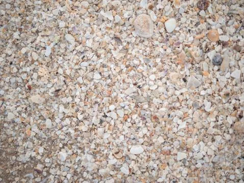 Abstract background of many break shells Stock Photos