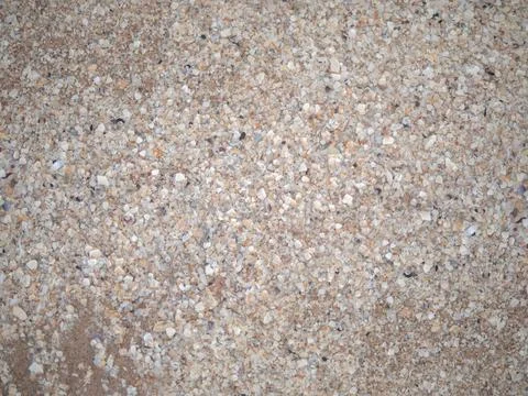 Abstract background of many break shells on the sand beach Stock Photos