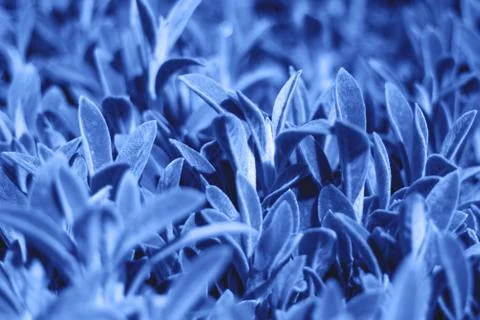 Abstract background with many tiny colored leaves. Stock Photos