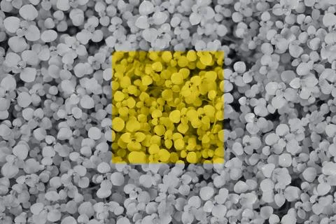 Abstract background with many tiny grey leaves. Stock Photos