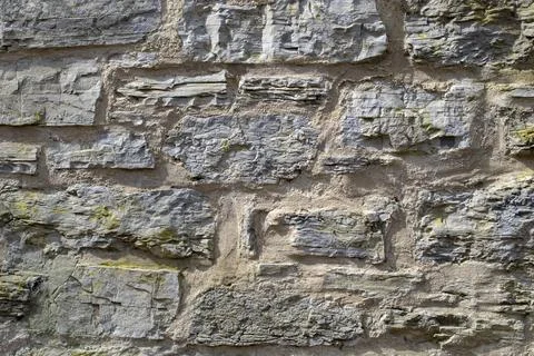 Abstract background. Monochrome texture. Effect the black and white tones. Stock Photos