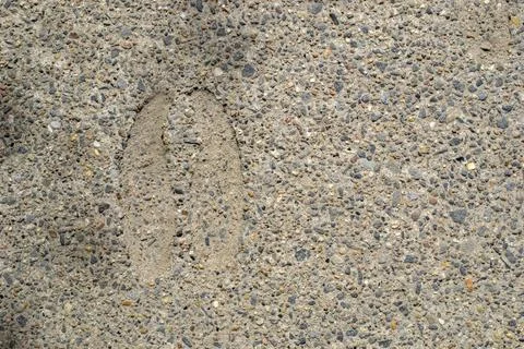 Abstract background. Monochrome texture. Effect the black and white tones. Stock Photos