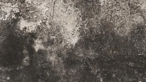 Abstract background. Monochrome texture. The image includes a black and whi.. Stock Photos