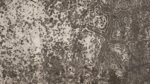 Abstract background. Monochrome texture. The image includes a black and whi.. Stock Photos