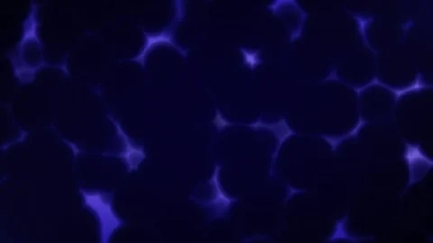 Abstract background with morphing blobs or dividing cells visualization Stock Footage 312772494