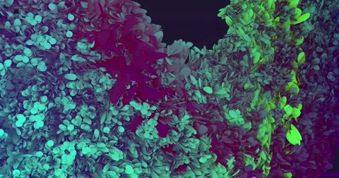 Abstract background with morphing circles Stock Footage 164035641