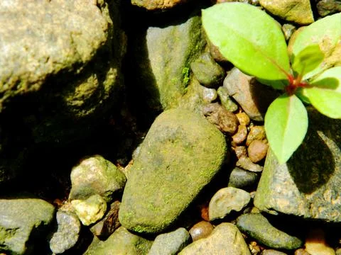 Abstract background with mountain rocks. Large shaped rocks that can be fou.. Foto stock
