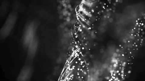 Abstract background with moving and shaking particles. bokeh background Stock Footage 230170042