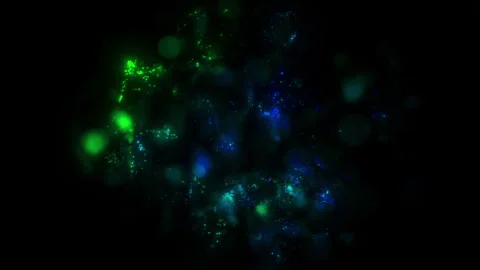 Abstract background with moving blue and green particles, liquid. Stock Footage 249729194