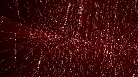 Abstract background of moving red particles. computer graphics Stock Footage 89432700