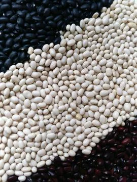 Abstract background of multi-colored beans, lined with stripes Stock Photos