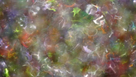 Abstract Background With Multicolor Bokeh. Stock Footage 114799035