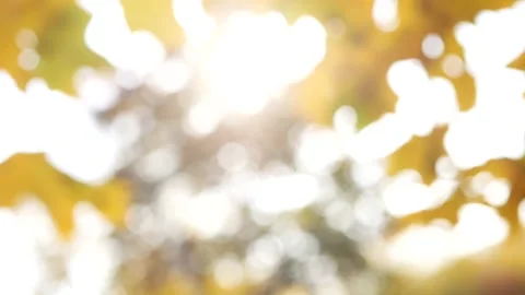 Abstract background - multicolored glare on a white background. Stock Footage 162949436