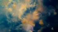 Abstract Background. Oil, Water, Dye. Bubbling Liquid Stock Footage