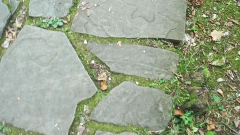 Abstract background. Old cobblestone pavement, texture, grass between stones Видео 116583159